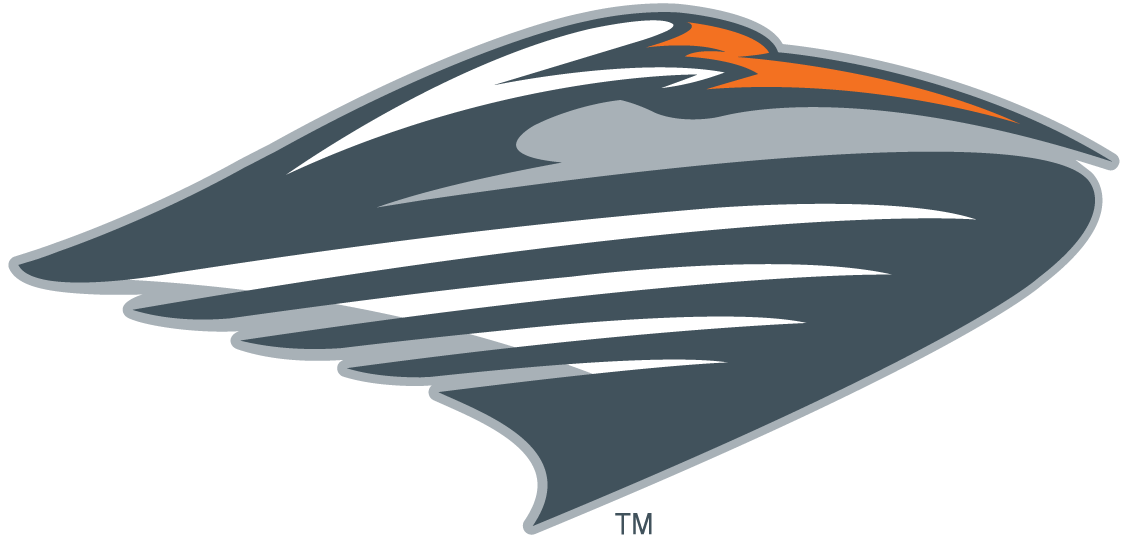 Miami Hurricanes 2000-2008 Secondary Logo diy iron on heat transfer